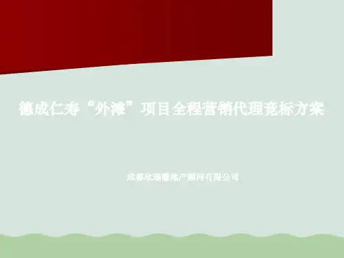 某地产公司外滩项目全程营销代理竞标方案PPT(共36页)