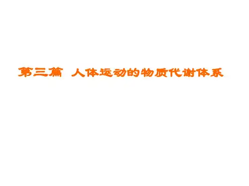 消化系统