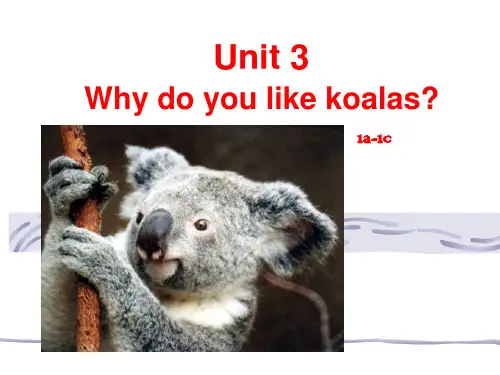Unit 3Why do you like koalas