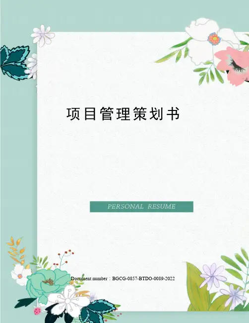 项目管理策划书