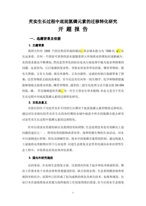 开题报告格式