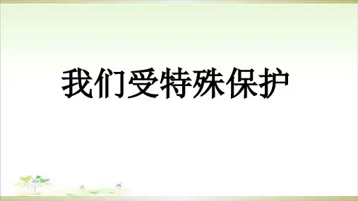 《我们受特殊保护》优秀ppt1