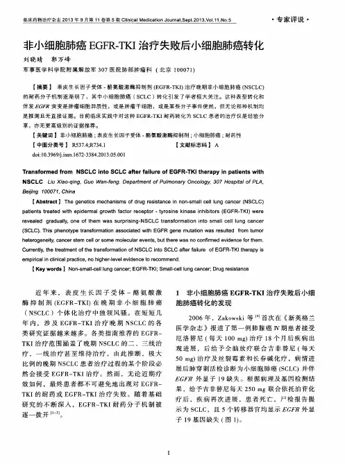 非小细胞肺癌EGFR-TKI治疗失败后小细胞肺癌转化