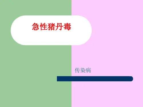 急性猪丹毒分析