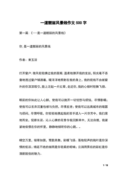 一道靓丽风景线作文500字