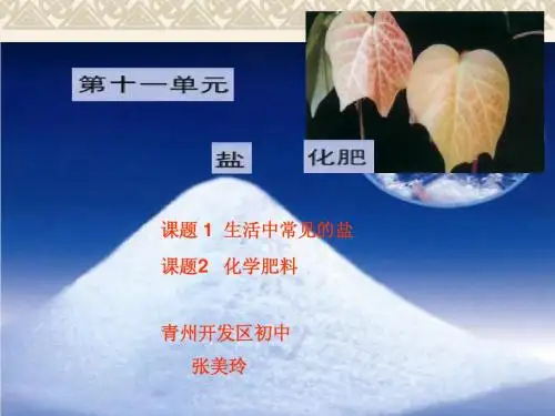 初中化学课题1 生活中常见的盐