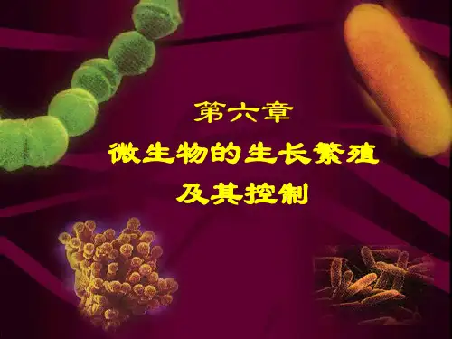 第六章微生物的生长及其控制刘