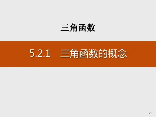 《三角函数的概念》三角函数PPT课件