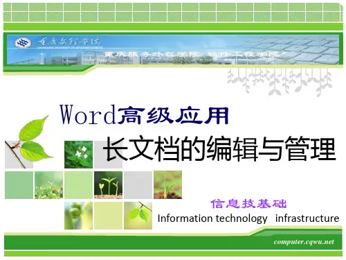 第3章 Word 2010(长文档)