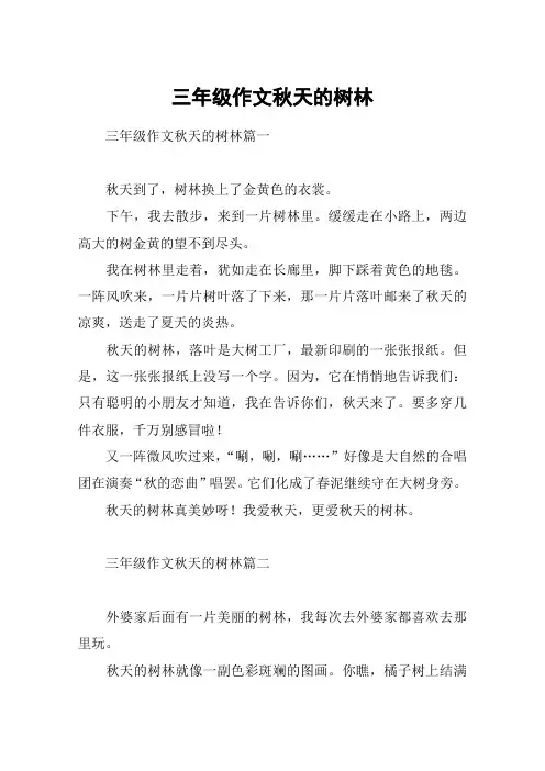 三年级作文秋天的树林