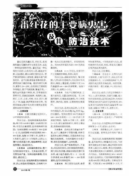 番红花的主要病虫害及其防治技术