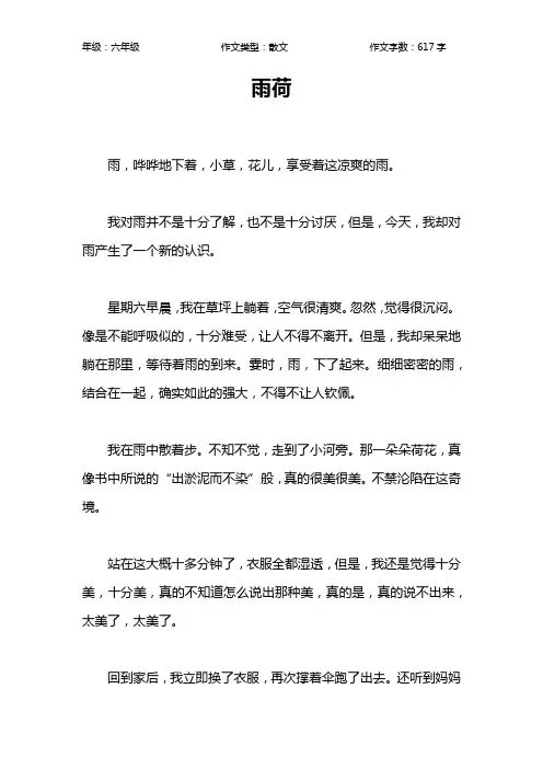 雨荷作文【小学六年级600字】