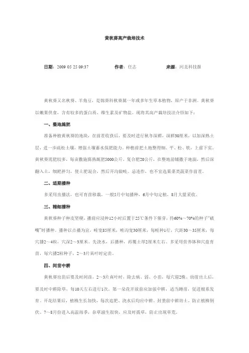 黄秋葵高产栽培技术