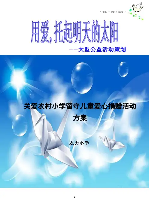 农力小学爱心捐赠活动方案
