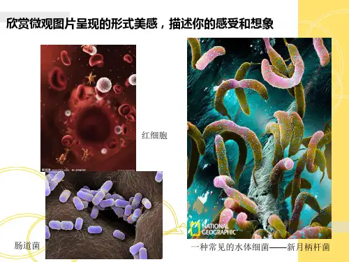 走进微观世界(完整版)