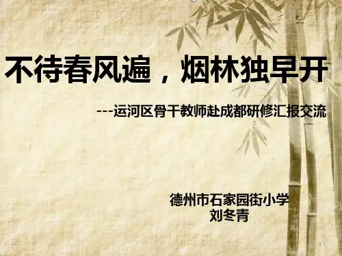 外出培训汇报PPT幻灯片