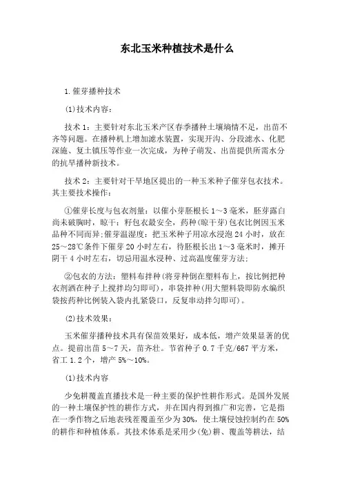 东北玉米种植技术是什么