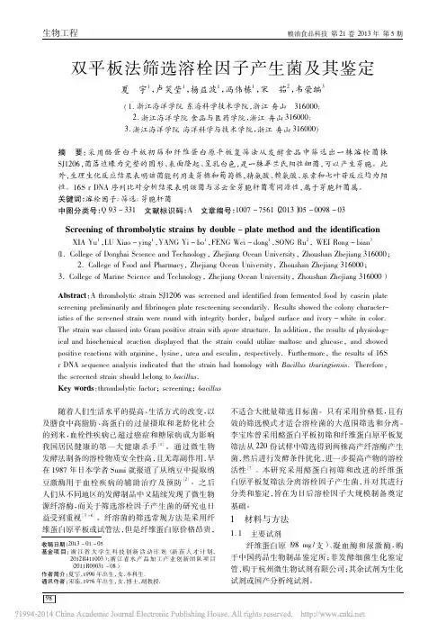 双平板法筛选溶栓因子产生菌及其鉴定