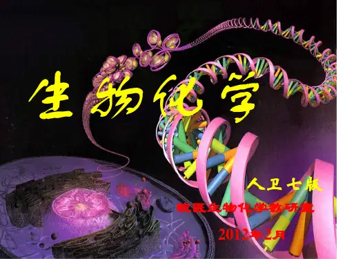 第01章蛋白质的结构与功能