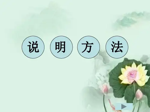5年级小学语文中常用的说明方法