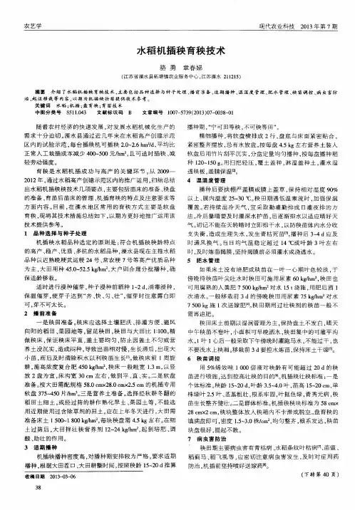 水稻机插秧育秧技术