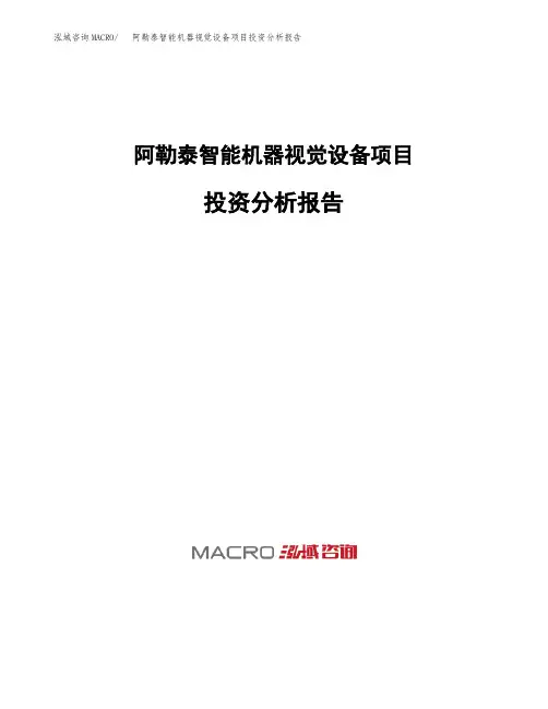 阿勒泰智能机器视觉设备项目投资分析报告