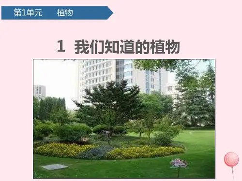一年级科学上册植物1我们知道的植物课件教科版
