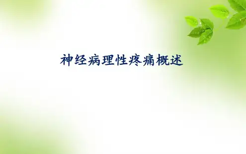 神经病理性疼痛概述..