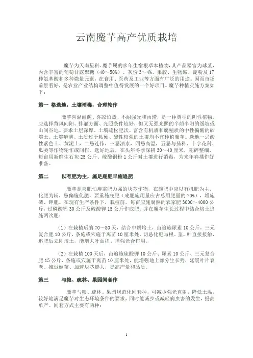 云南魔芋高产优质栽培