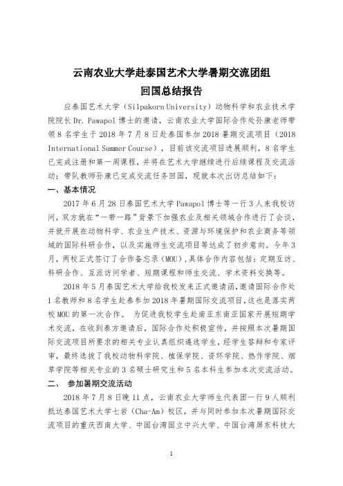 云南农业大学赴泰国艺术大学暑期交流团组回国总结报告