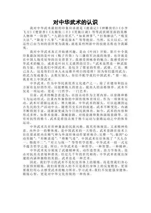 对中华武术的认识