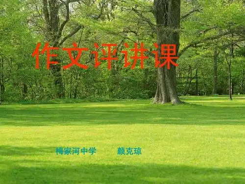 2013年中考作文评讲课件