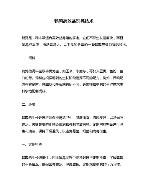 鹌鹑高效益饲养技术