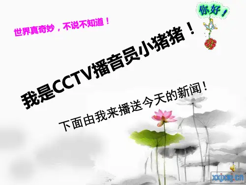 各种各样奇特的植物
