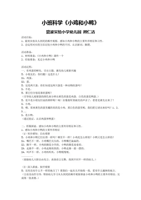 小班科学《小鸡和小鸭》教案
