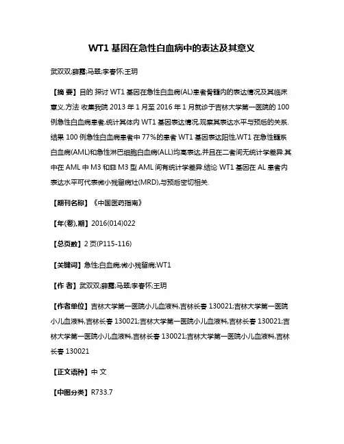 WT1基因在急性白血病中的表达及其意义