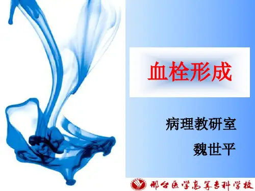 第三节 血栓形成
