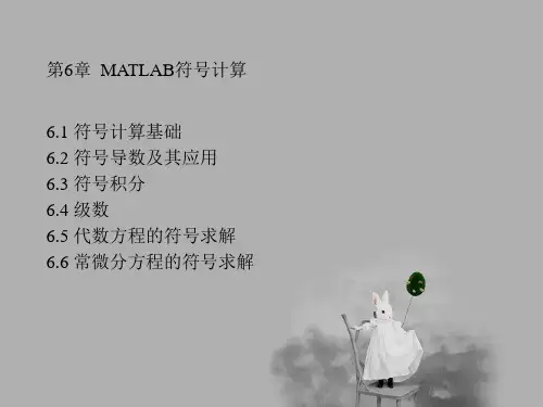 第6章MATLAB符号计算