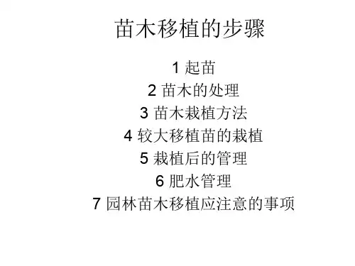 苗木移植的步骤