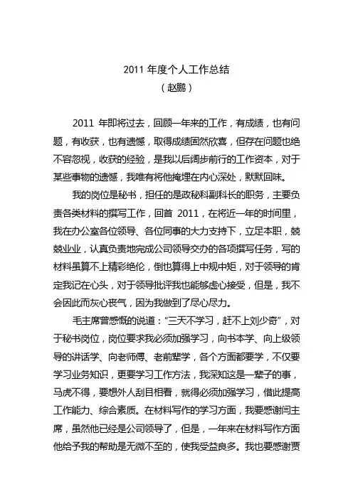 赵鹏个人工作总结