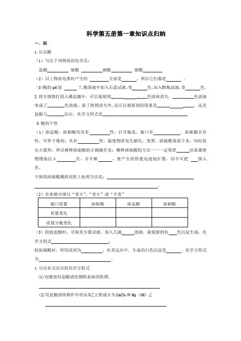 浙教版九年级上册科学第一章知识点归纳.doc