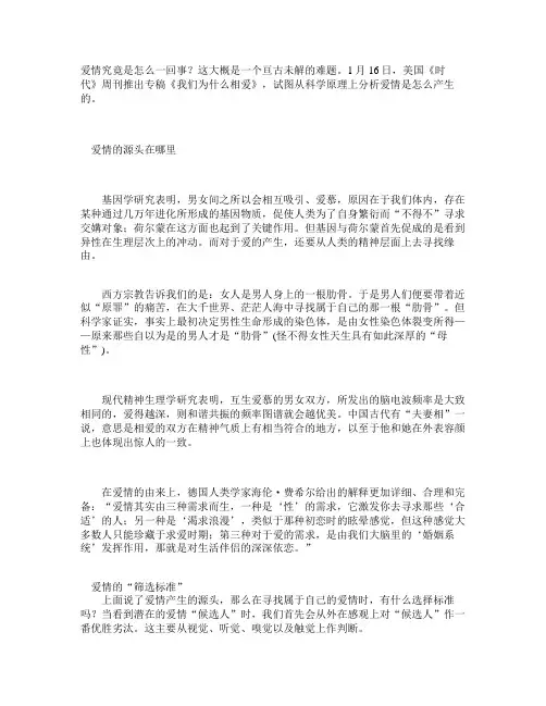 爱情的科学原理