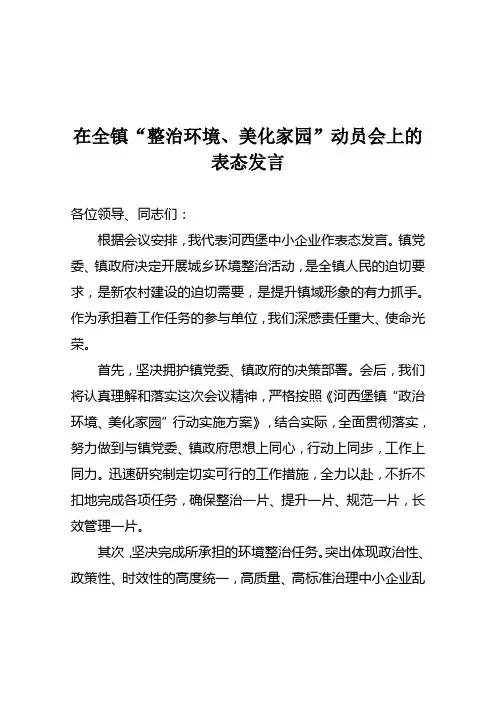 城乡环境整治表态发言