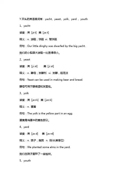 y开头的单词
