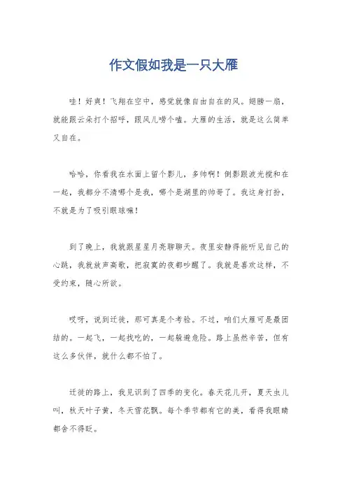 作文假如我是一只大雁