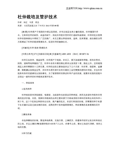 杜仲栽培及管护技术