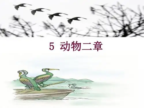 《动物二章》课件
