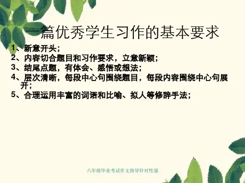 六年级毕业考试作文指导针对性强