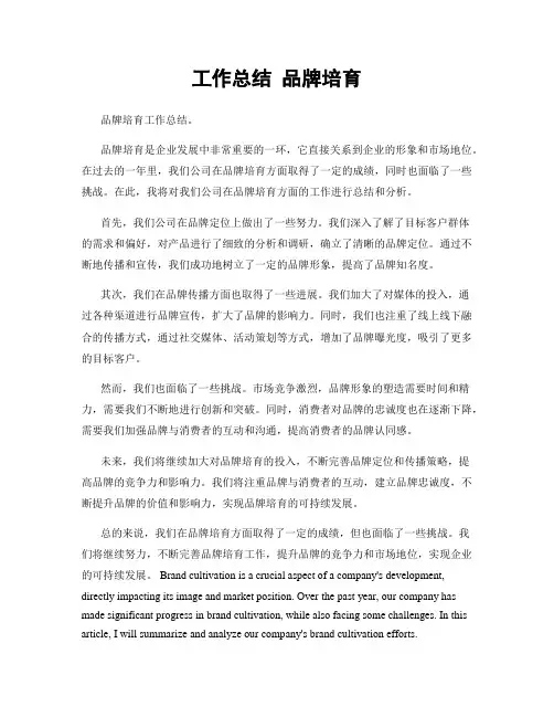 工作总结 品牌培育