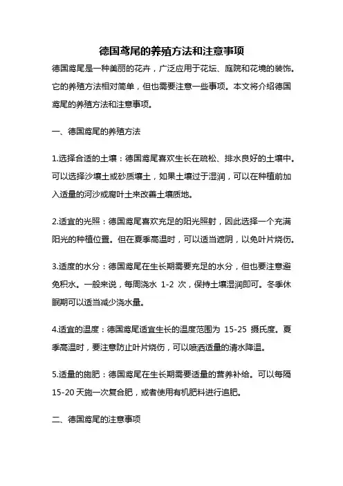 德国鸢尾的养殖方法和注意事项